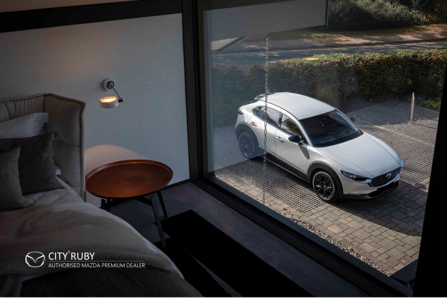 CX30 v01 (4)